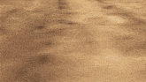 a person wearing a shirt that says " other fucker " is standing on a dirt road