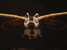 a close up of a stuffed moth with blue eyes and a black background .