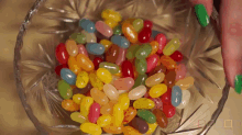 jelly bean cany candies
