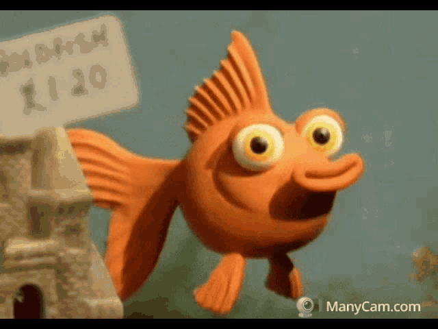 Goldfish Animated GIF - Goldfish Animated Wink - Discover & Share GIFs