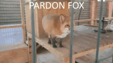Pardon Fox Pardon GIF - Pardon Fox Pardon Ascpf GIFs