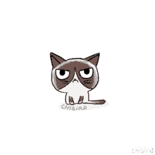 What If Grumpy Cat Were Less Grumpy? - Grumpy Cat GIF