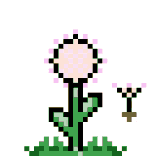 flowers cute cuddlybeans flower dandelion flowers cute cuddlybeans flower dandelion