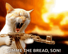 Breadcat Breadgun GIF - Breadcat Breadgun GIFs