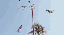 Voladores Papantla GIF
