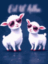 two sheep wearing sunglasses are standing next to each other .