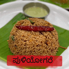 Puliyogare Indian Food GIF