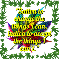 a colorful marijuana leaf with the words sativa to change the things i can