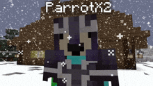 a minecraft character standing in front of a snowy building with the name parrotx2