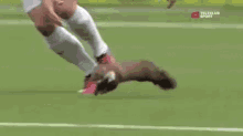 a soccer player is playing with a cat on the field during a match .