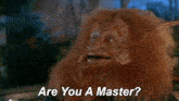 a troll giving a thumbs up with the words i know that below him