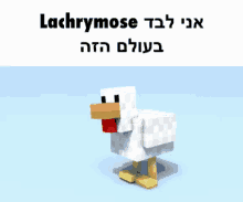 Chicken Lachrymose GIF - Chicken Lachrymose Running GIFs