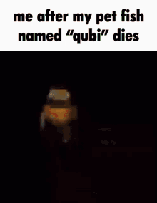 Qubi Fish GIF - Qubi Fish GIFs