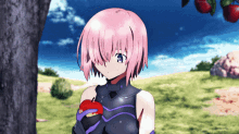 mashu kyrielight fate fate grand order apple give