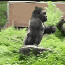 Gorillaman GIF