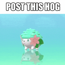 a picture of a hedgehog with the words post this hog on the bottom