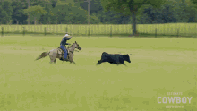 Riding Horse Ultimate Cowboy Showdown GIF