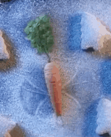 Kevinthecarrot Aldi GIF - Kevinthecarrot Aldi Carrot GIFs