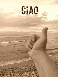 Ciao GIF - Ciao GIFs