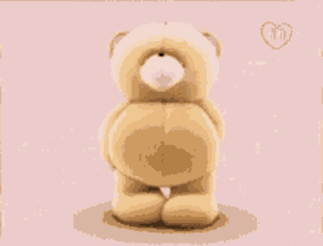 Bear GIF - Bear - Discover & Share GIFs
