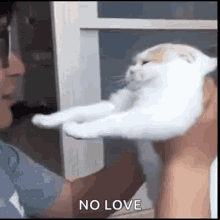 No Love Fat Cat GIF - No Love Fat Cat Ew No GIFs