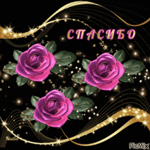 purple roses on a black background with the words спасибо