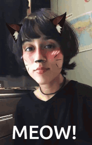 Cat Girl Real Cat GIF - Cat girl Real cat Cat ears - Discover & Share GIFs