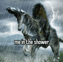 a picture of a dinosaur with the words me in the shower below it