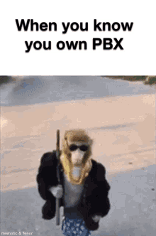 Monkey Pbx Boss GIF - Monkey Pbx Boss GIFs