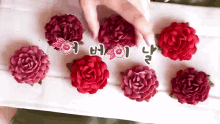 어버이날 카네이션 GIF - Parents Day Korean Carnation GIFs