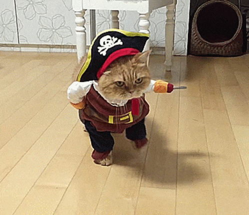 30 Kitty Cosplays Thatll Leave Every CatLoving Nerd in Awwww  I Can Has  Cheezburger