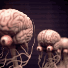 Weird Brains GIF - Weird Brains Insainment GIFs