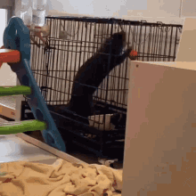 a cat standing on its hind legs in a cage .