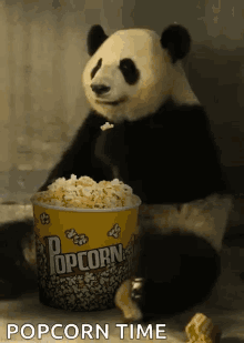popcorn panda popcorn day popcorn time chew