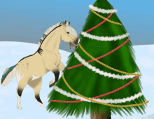 Christmas Tree Horse GIF - Christmas Tree Horse GIFs