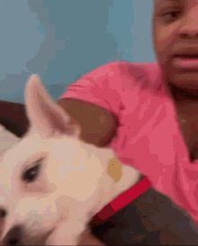 a woman in a pink shirt is holding a white dog in her lap .
