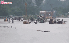 World Calamity Prevention Day | Looking Back At Chennai Floods.Gif GIF