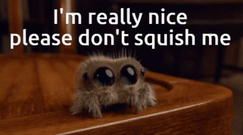 Lucas The Spider GIF - Lucas The Spider - Discover & Share GIFs