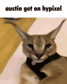 Austin Austin Hypixel GIF - Austin Austin Hypixel Austin Get On Hypixel GIFs
