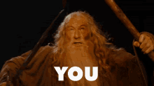 Shall Not Pass Lord Of The Rings GIF - Shall Not Pass Lord Of The Rings Gandalf GIFs