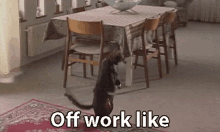 Off Work GIF - Off Work Like Tired Exhausted GIFs