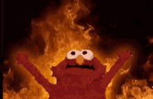 Fire Elmo GIF - Fire Elmo Funny GIFs