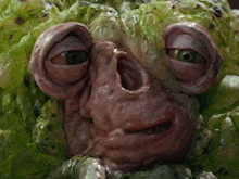 a close up of a face made out of lettuce leaves
