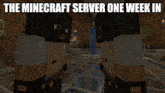 server minecraft