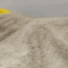 a close up of a small monkey sitting on top of a blanket .