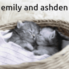 Emilyashden Emily And Ashden GIF - Emilyashden Emily And Ashden Ashden GIFs