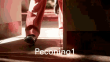 Peconino GIF - Peconino GIFs