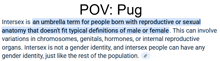 a definition of the term pov pug is highlighted in blue