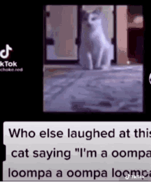 Cat Oompaloompa GIF - Cat Oompaloompa Funny GIFs