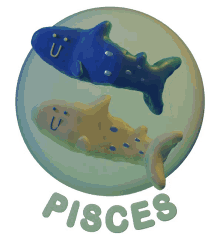 timothy pisces